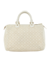 Mini Lin Speedy 30, front view